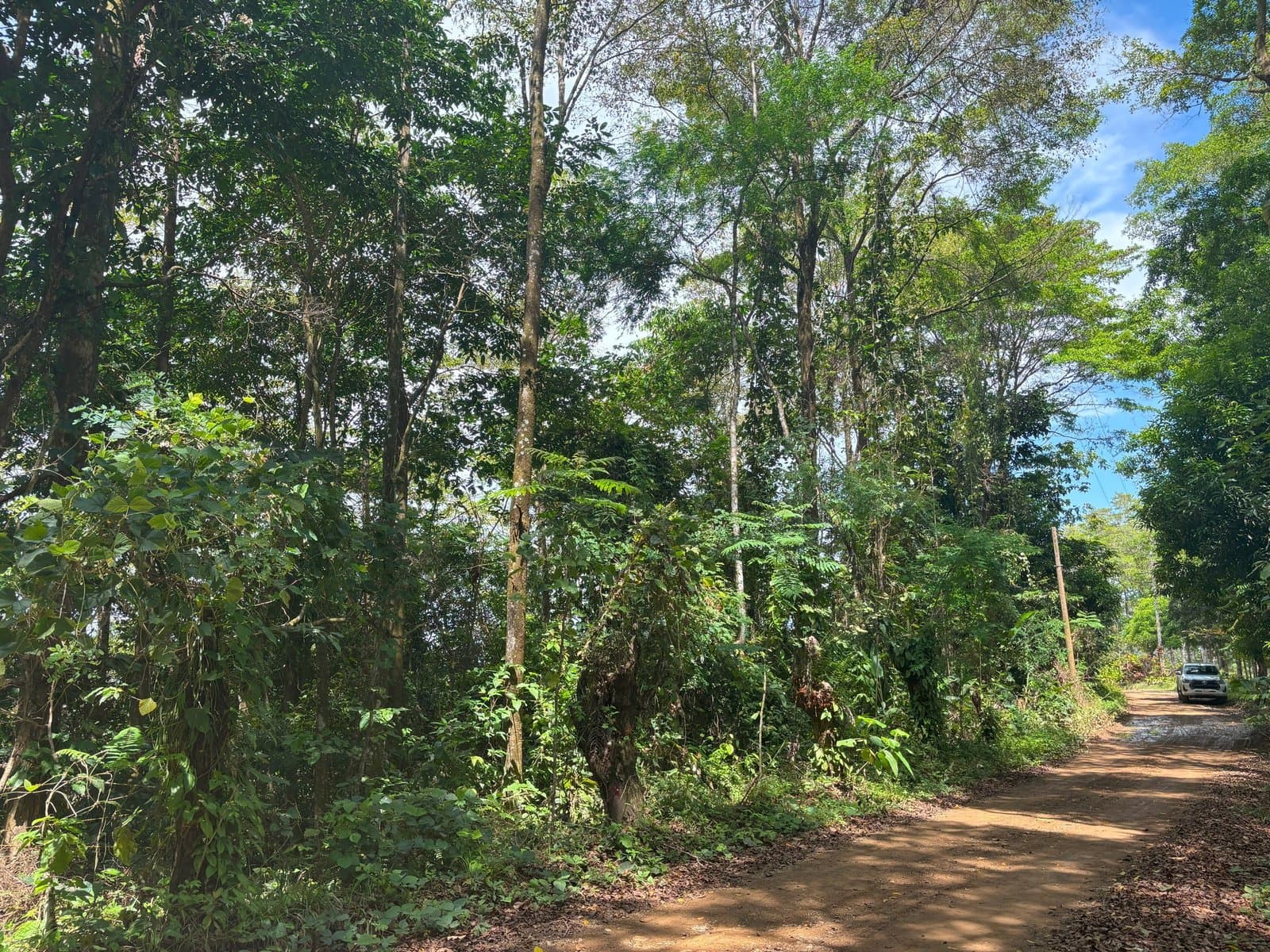 2.4 ACRES Mountain And Valley View Land With Plenty Of Space to Build And Easy Access! property photo 3 in Costa Rica