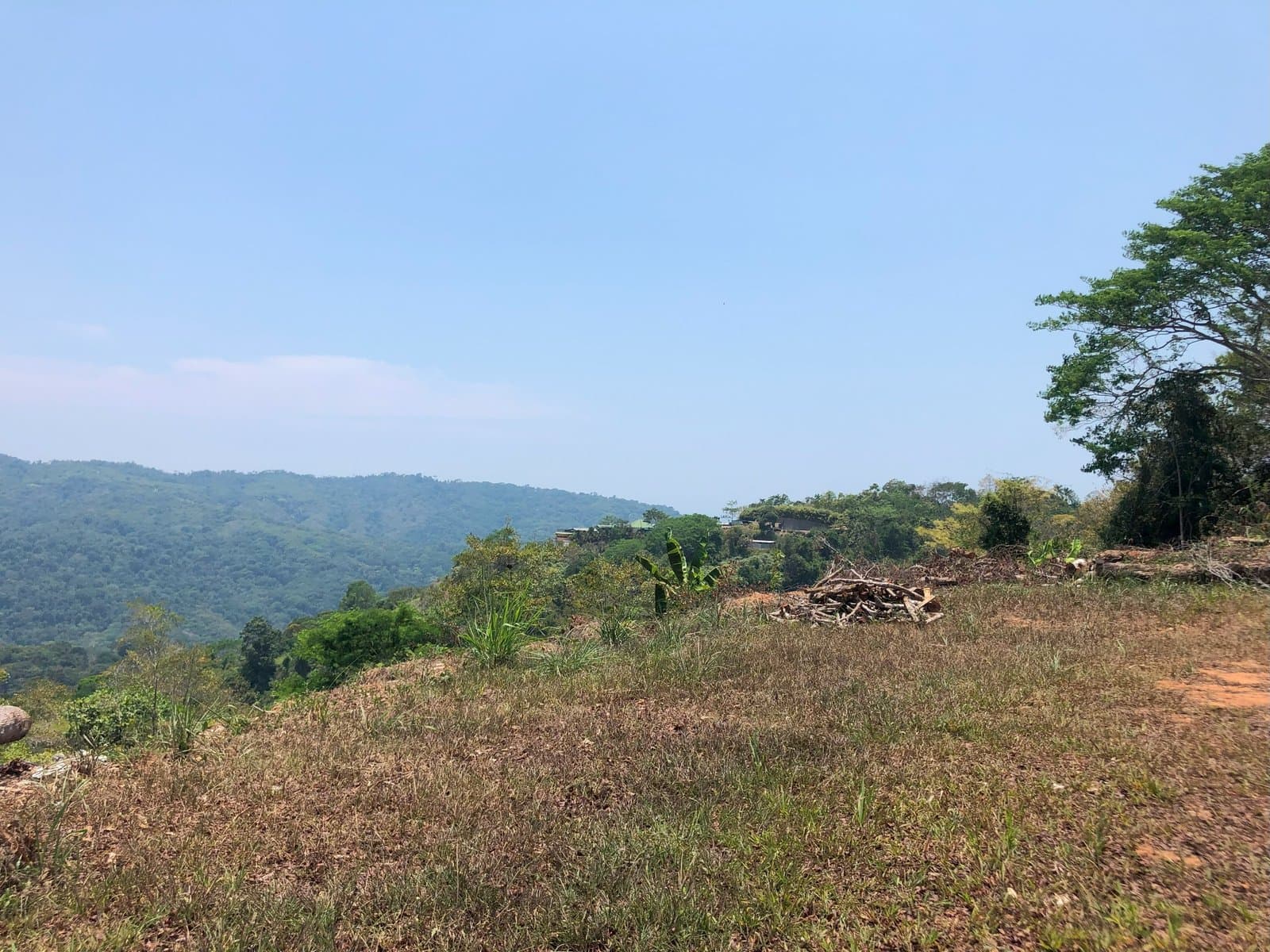2.4 ACRES Mountian and Valley View Land Surrounded by Jungle With Legal Water An Elecricity And Easy Access! photo 3