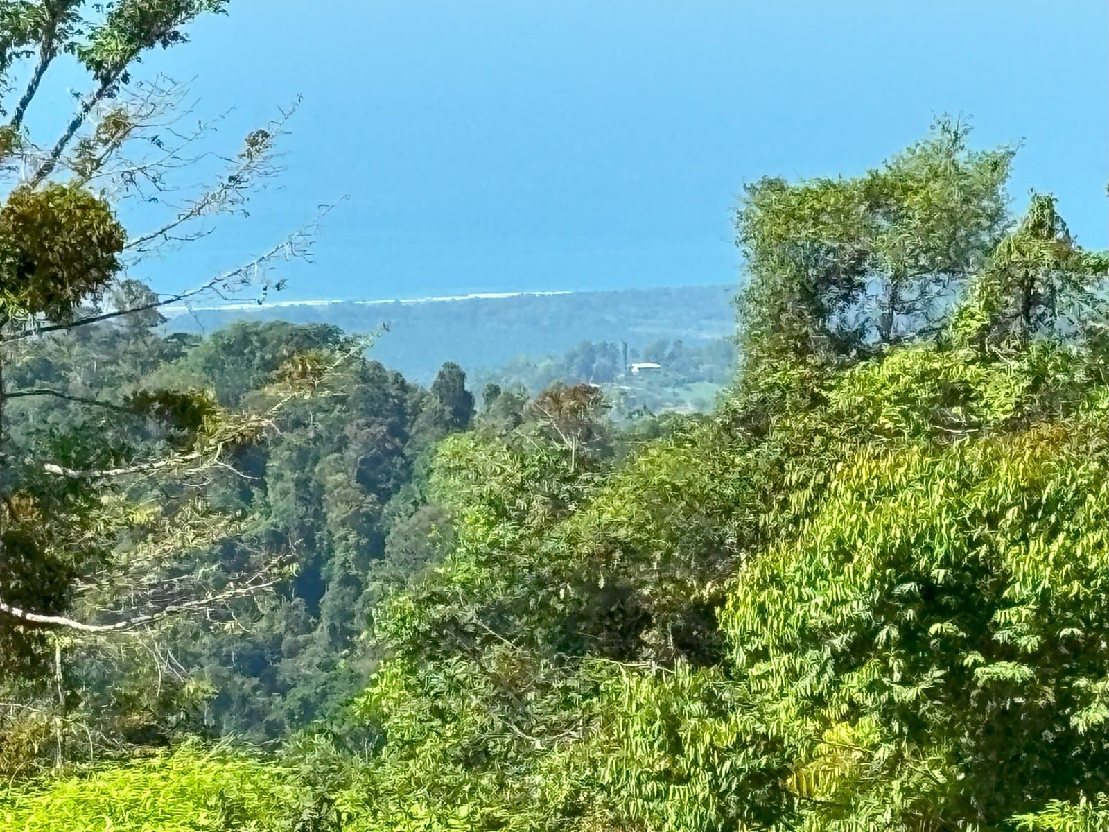 110.17 ACRES Mountain Estate With Ocean & Sunset View With Freshwater Streams And Natural Waterfalls! photo 2