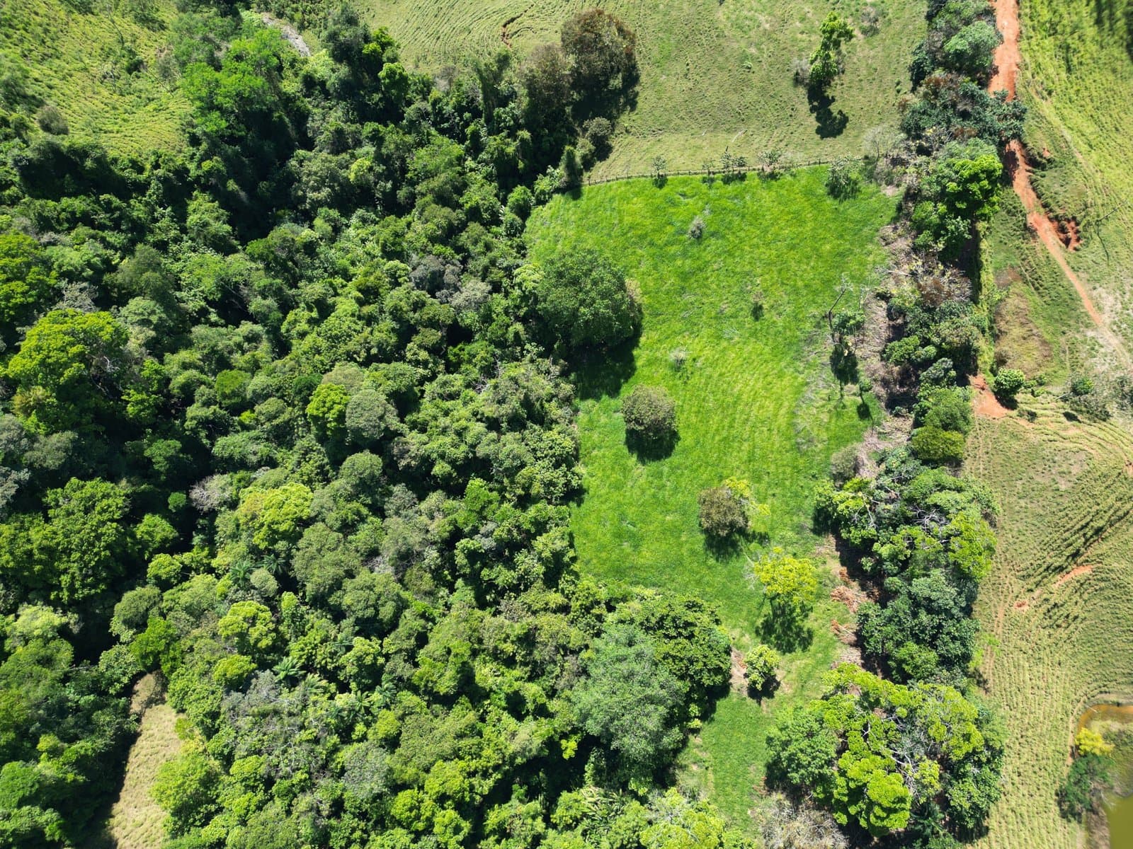 24 Acres Land With 360° Mountain View, Jungle Legal Water & Electricity! photo 5