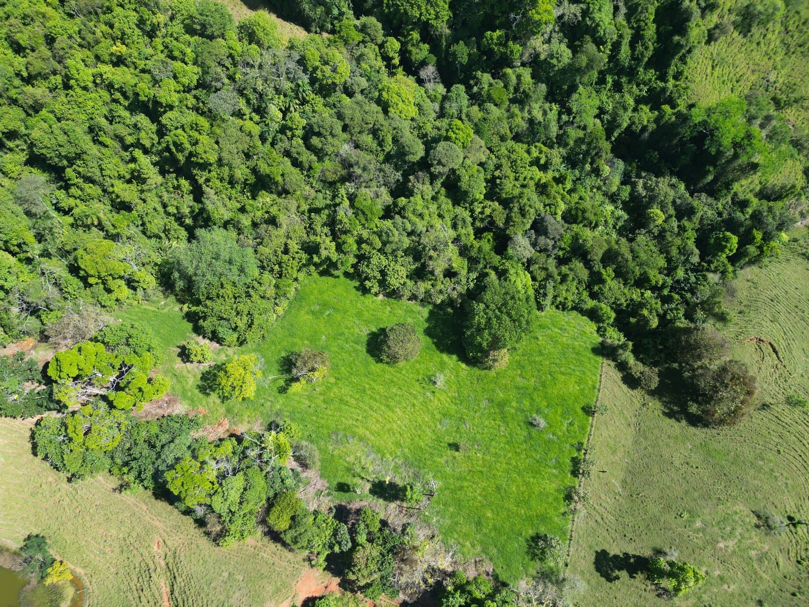 24 Acres Land With 360° Mountain View, Jungle Legal Water & Electricity! property photo 2 in Costa Rica