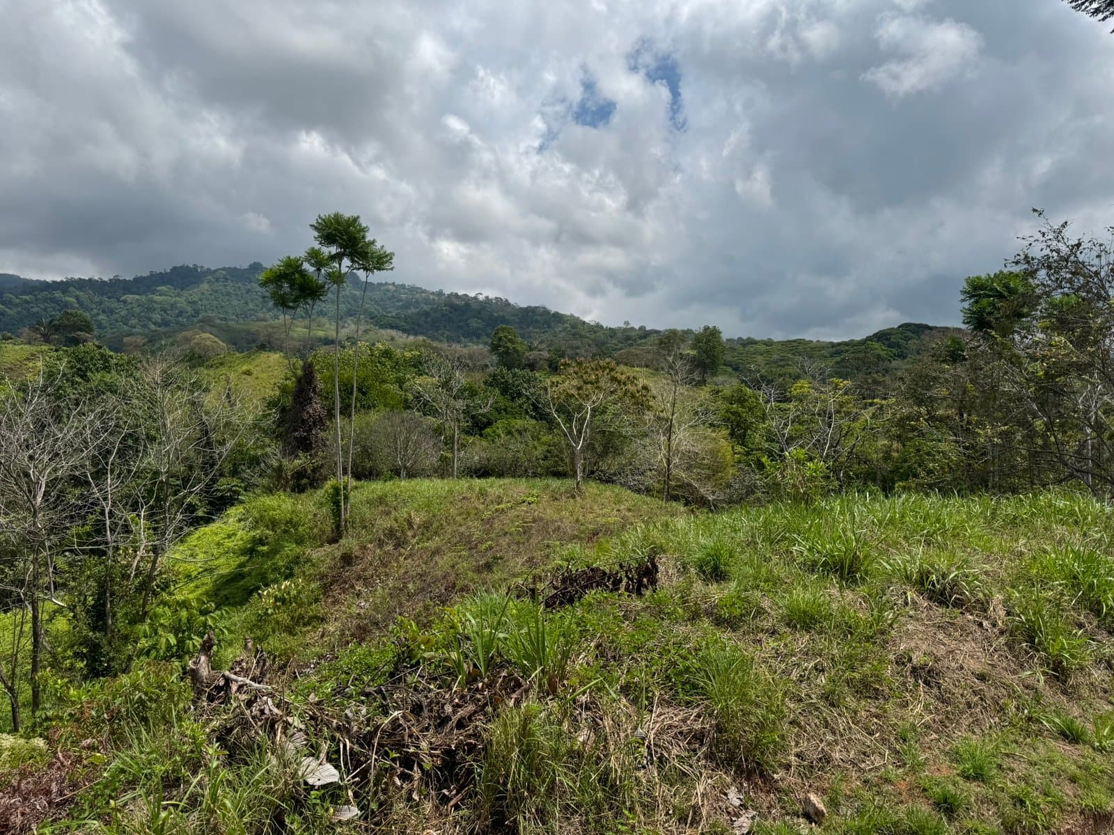 2.5 ACRES Mountain View Land In Sought After Gated Community, Private And Easy Access! photo 1