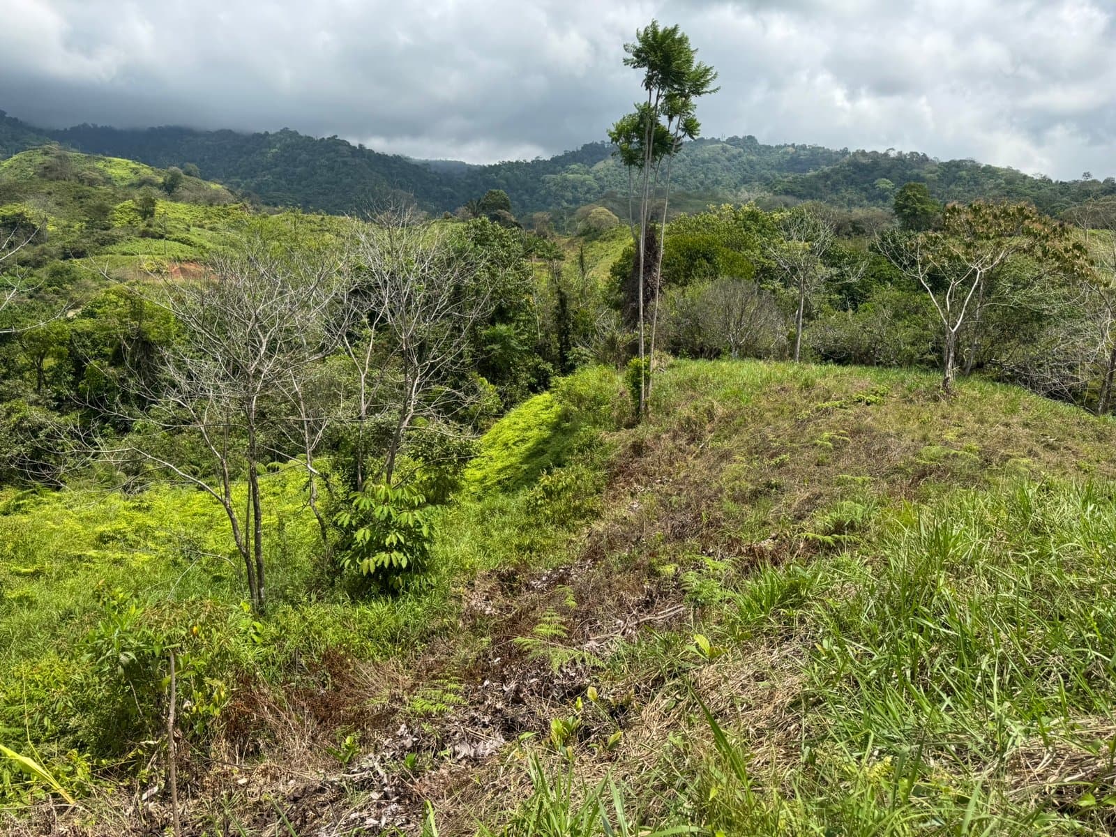 2.5 ACRES Mountain View Land In Sought After Gated Community, Private And Easy Access! photo 2