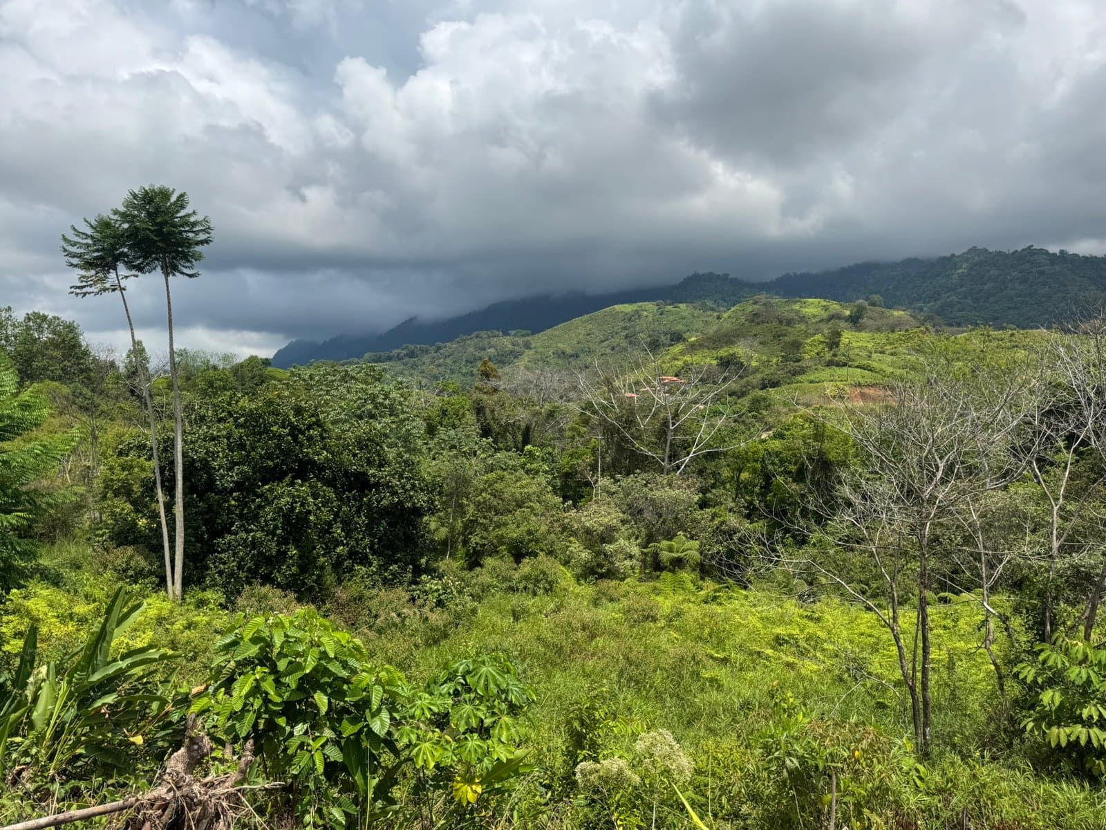 2.5 ACRES Mountain View Land In Sought After Gated Community, Private And Easy Access! photo 3