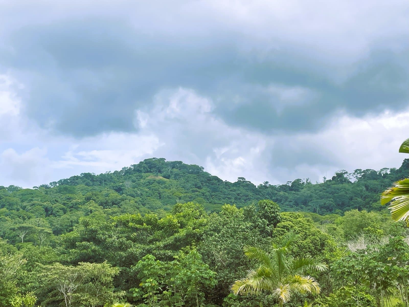 0.22 ACRES Flat, Ready-to-Build Land with Ocean Glimpse & Quiet Community Setting! photo 5