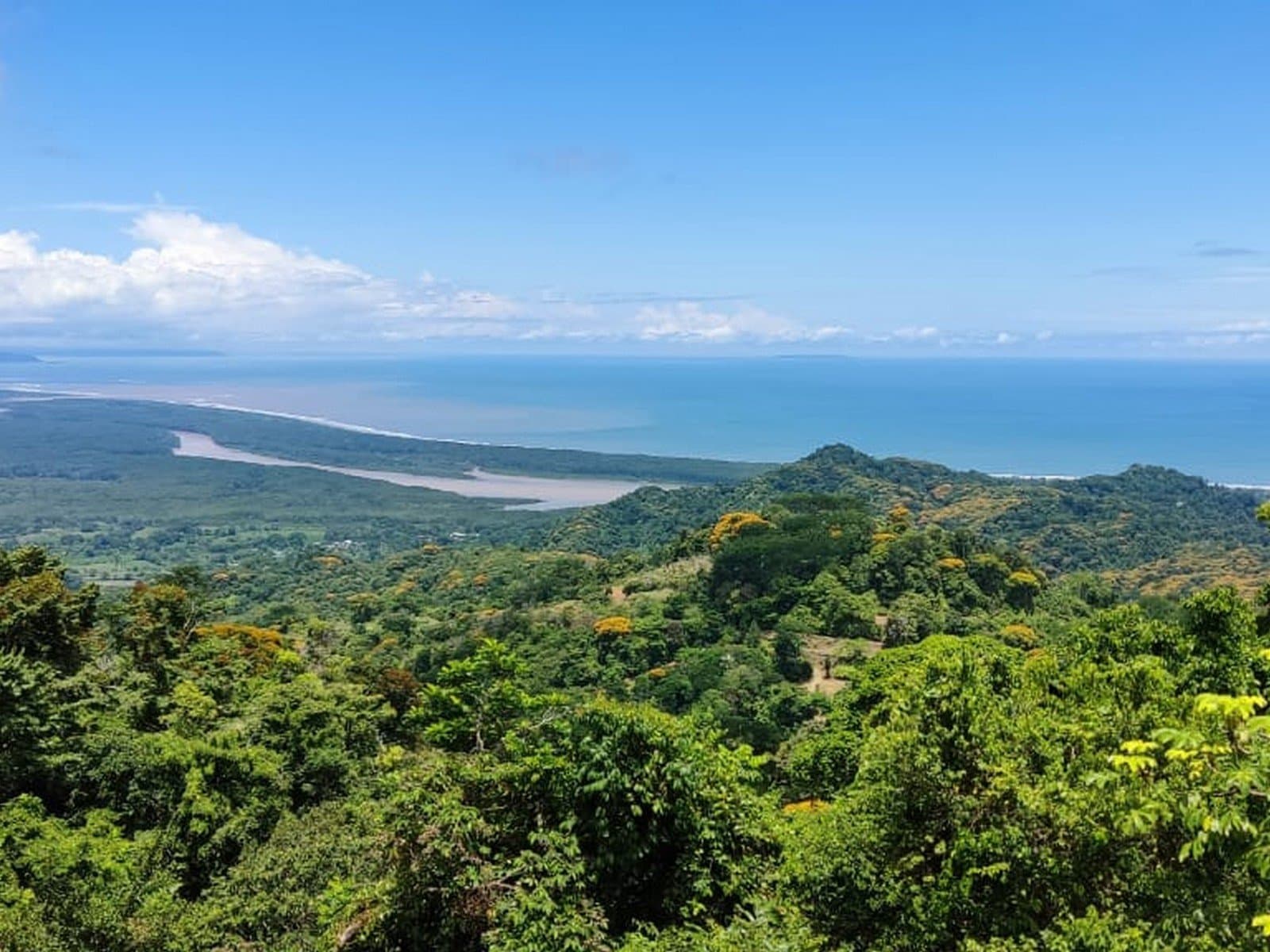 66.7 ACRES Spectacular Mountain & Ocean View Estate with Virgin Forest, Usable Land, and Public Road Frontage! photo 1