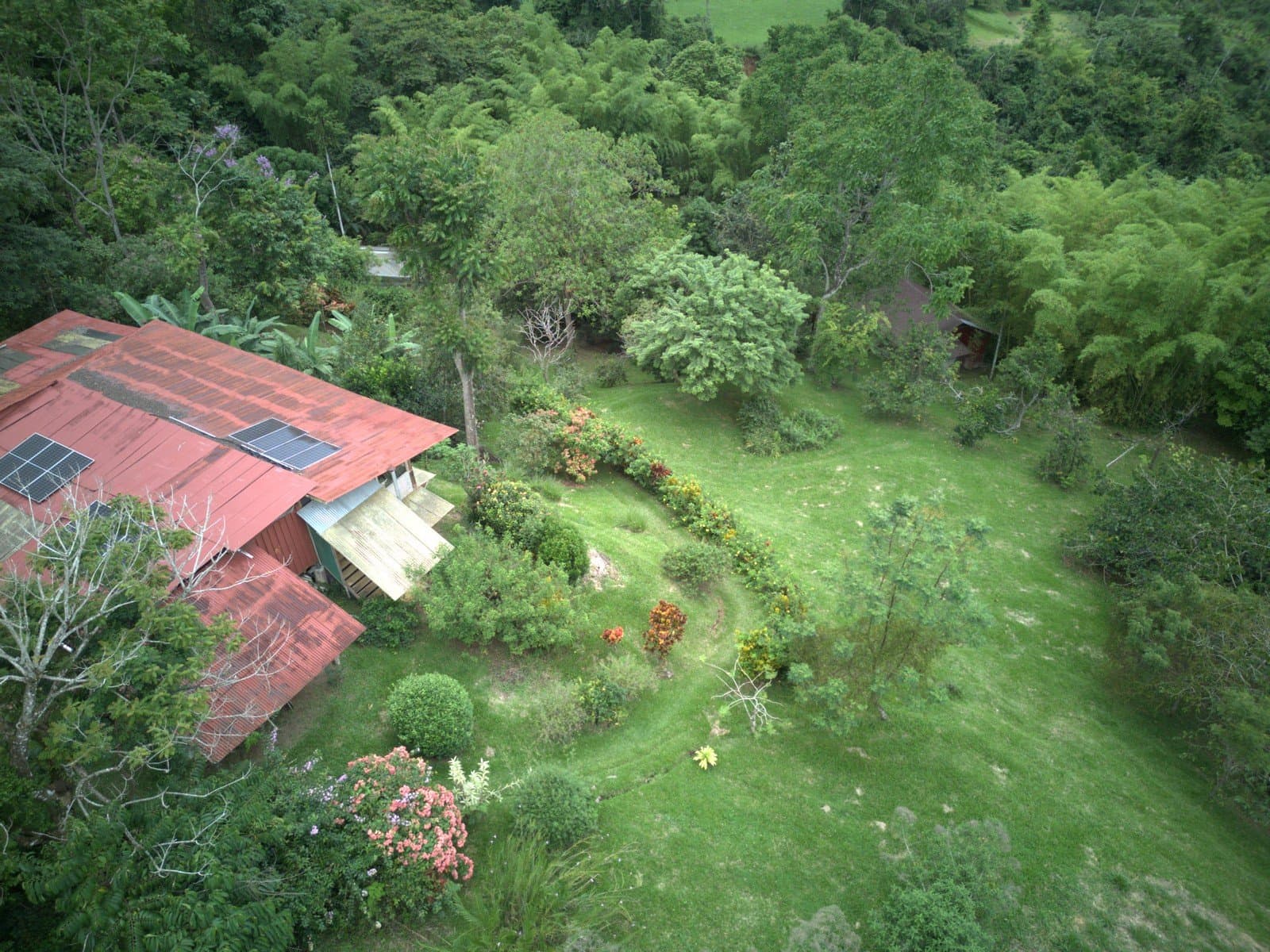 5 ACRES – 2 Bedroom Off-Grid Home Plus 2 Guest Cabins, Fruit Forest, River Access, Mountain Views And Peak of Ocean View! photo 5