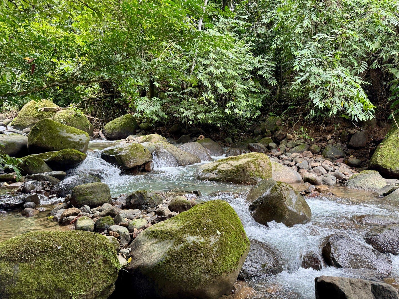 5 ACRES – 2 Bedroom Off-Grid Home Plus 2 Guest Cabins, Fruit Forest, River Access, Mountain Views And Peak of Ocean View! photo 2