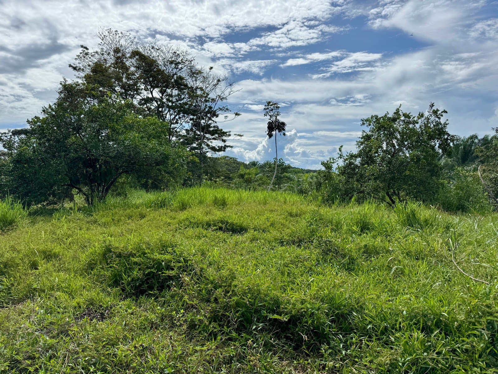 1.45 ACRES Ocean View Property With Creek And Public Road Frontage, 12 Min To Beach And Surf! photo 5