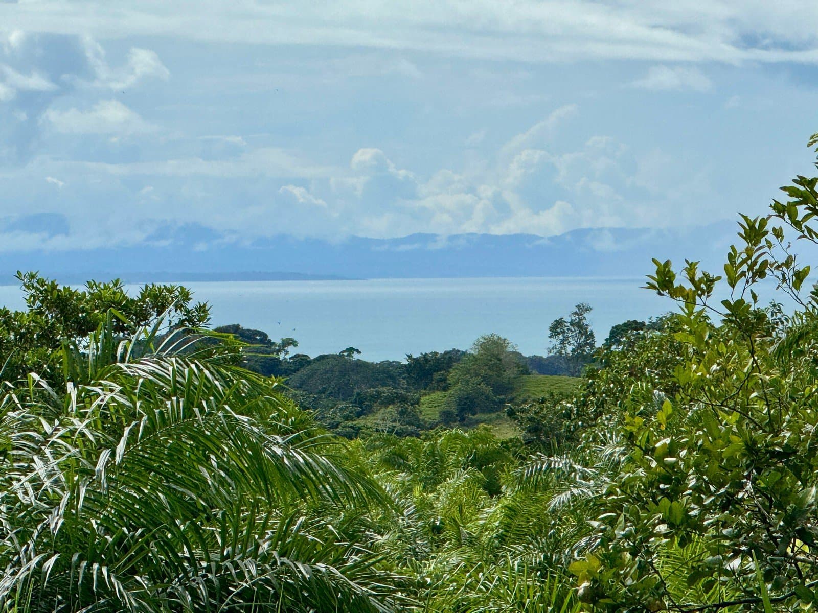 1.45 ACRES Ocean View Property With Creek And Public Road Frontage, 12 Min To Beach And Surf!