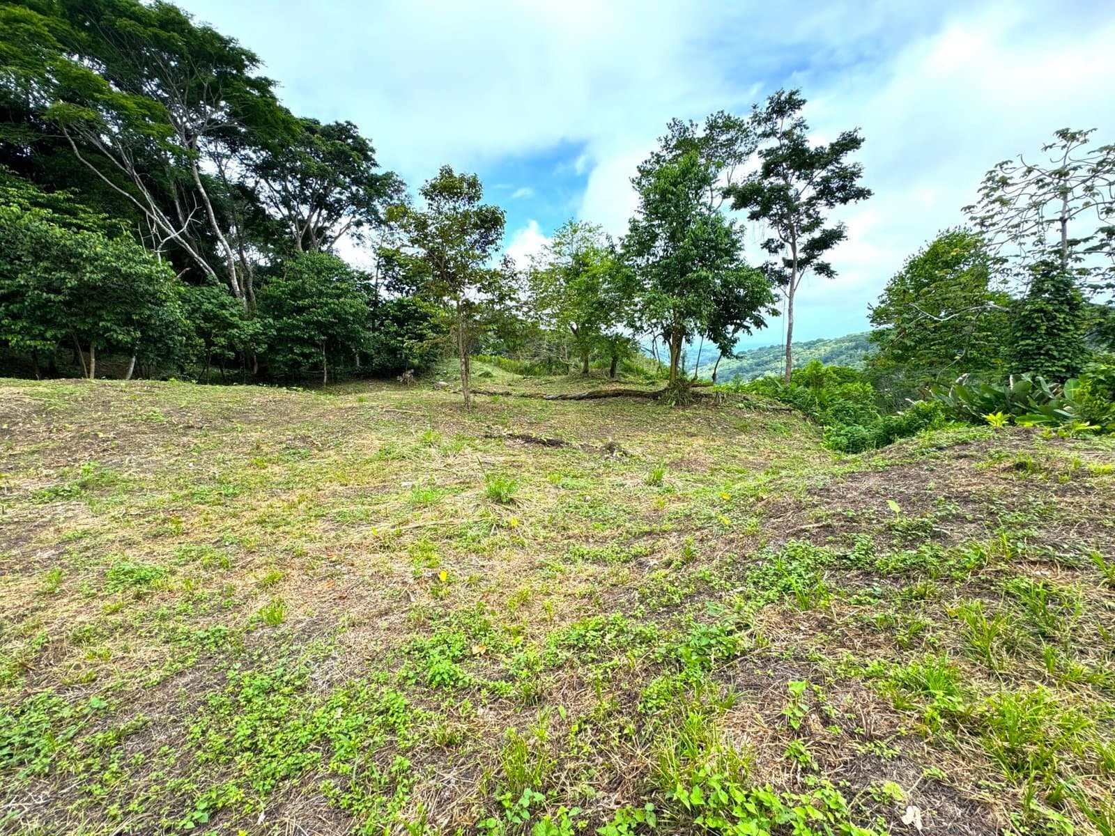 4.76 ACRES Ocean View Property in Lagunas, Completely Flat And Usable, Commercial Or Residential, Ready To Build! photo 4