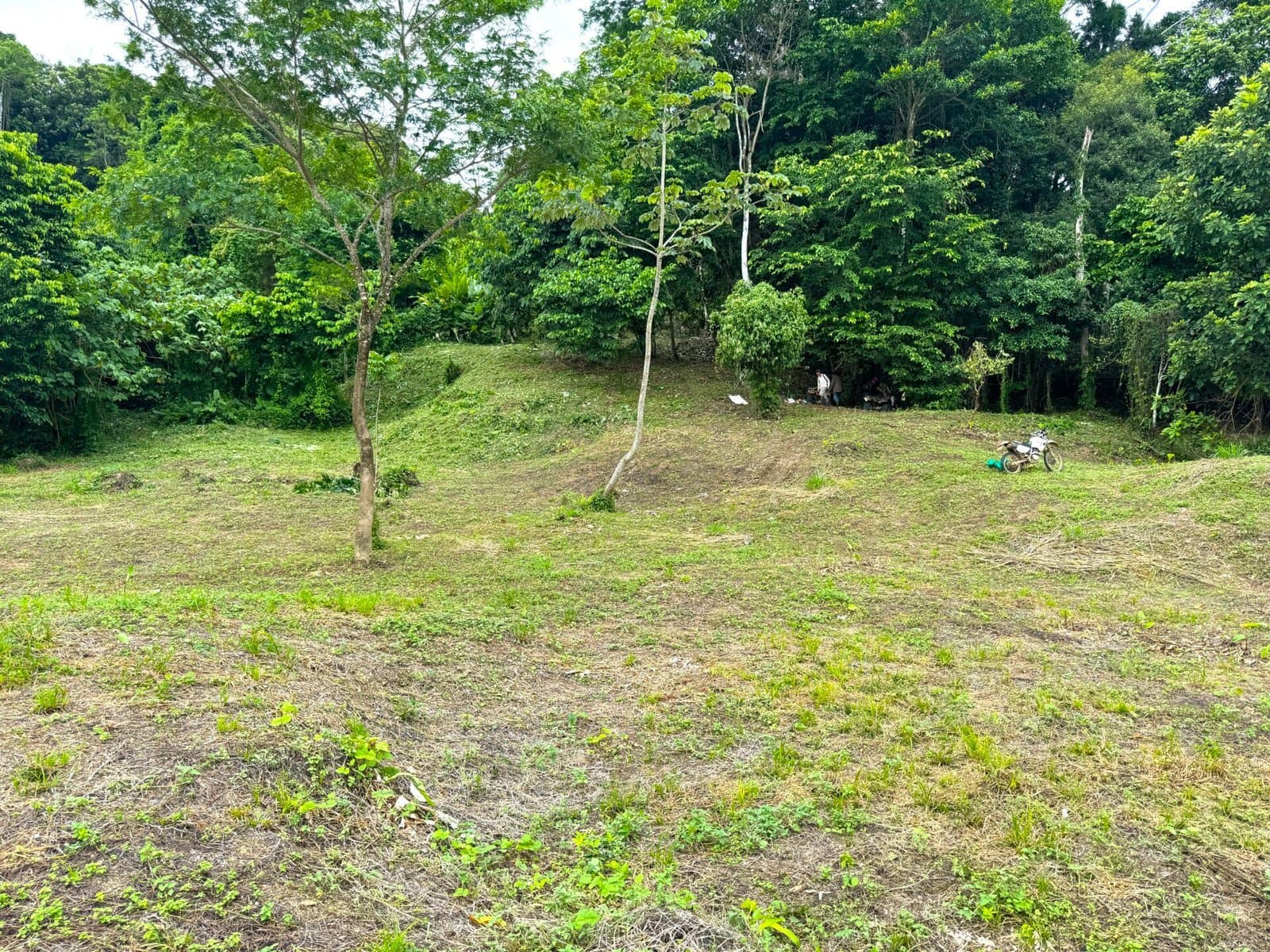 4.76 ACRES Ocean View Property in Lagunas, Completely Flat And Usable, Commercial Or Residential, Ready To Build! photo 5