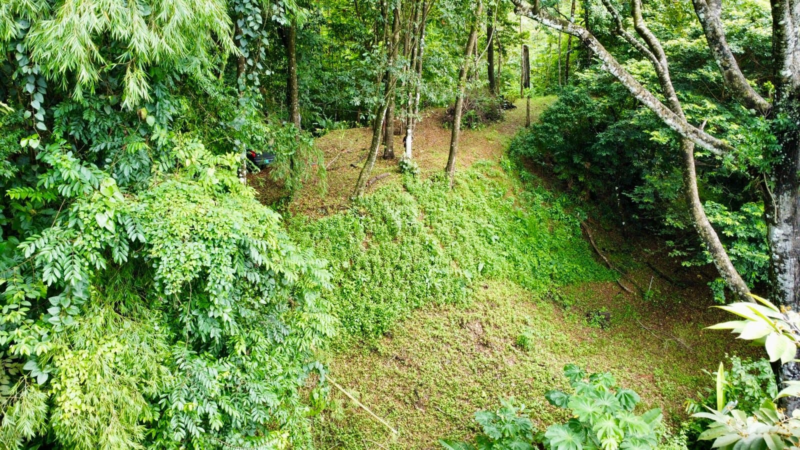 0.25 ACRES Affordable Ocean View Property With Easy Access And Legal ASADA Water! photo 3