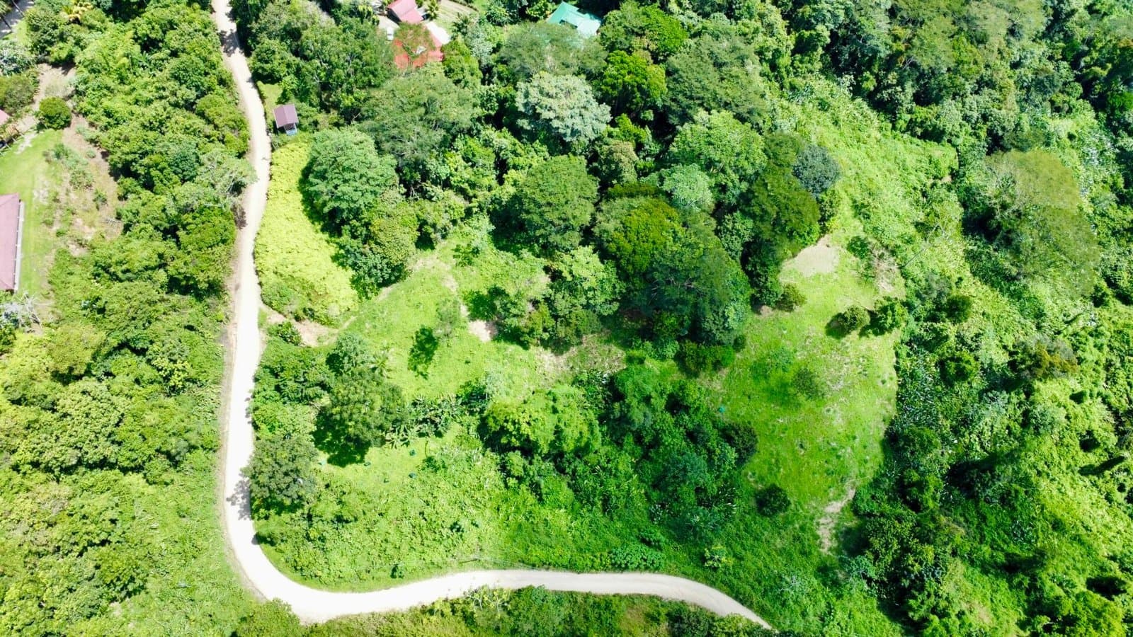 3 ACRES Beautiful Mountain View Property, Small Ocean Window, Public Road Frontage, Multiple Building Sites, Many Fruit Trees! property photo 5 in Costa Rica