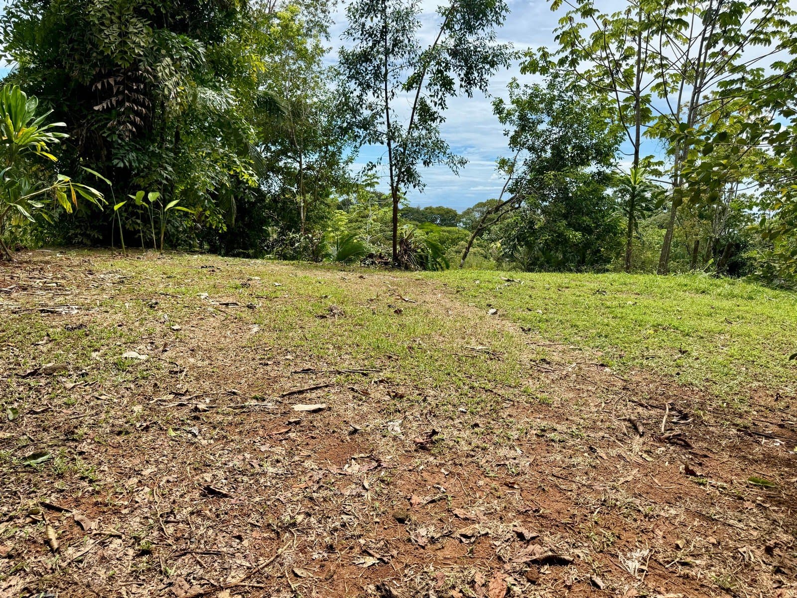 0.38 ACRES Ocean View Property In Escaleras With Multiple Building Sites, Great Access, Power, ASADA Water, Internet! property photo 4 in Costa Rica