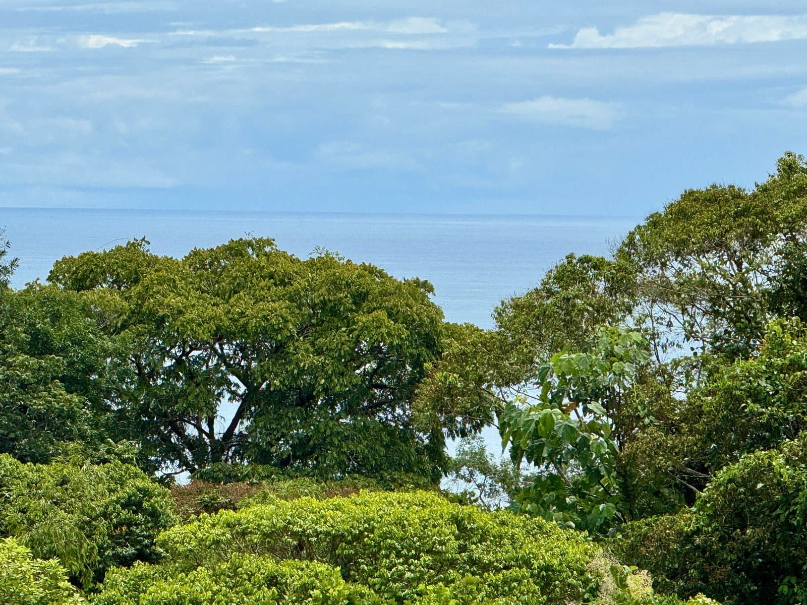 0.38 ACRES Ocean View Property In Escaleras With Multiple Building Sites, Great Access, Power, ASADA Water, Internet! property photo 3 in Costa Rica