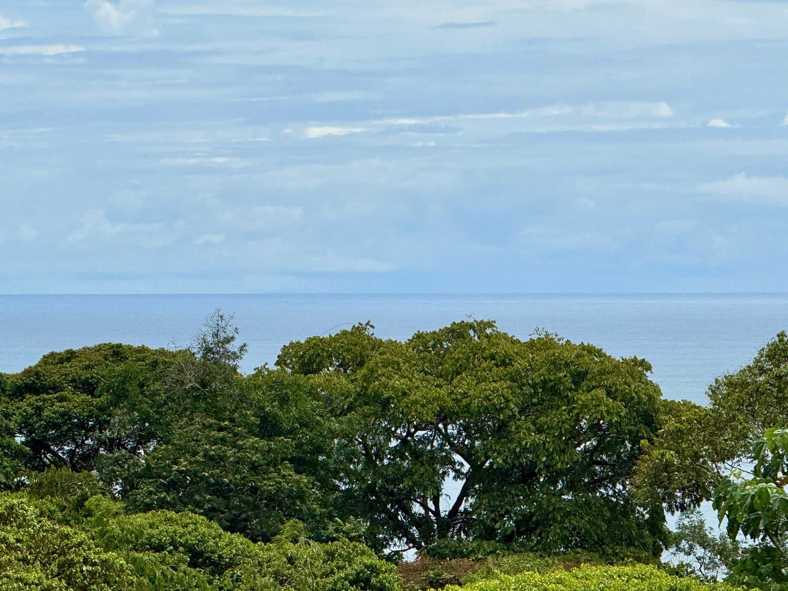 0.38 ACRES Ocean View Property In Escaleras With Multiple Building Sites, Great Access, Power, ASADA Water, Internet! photo 1