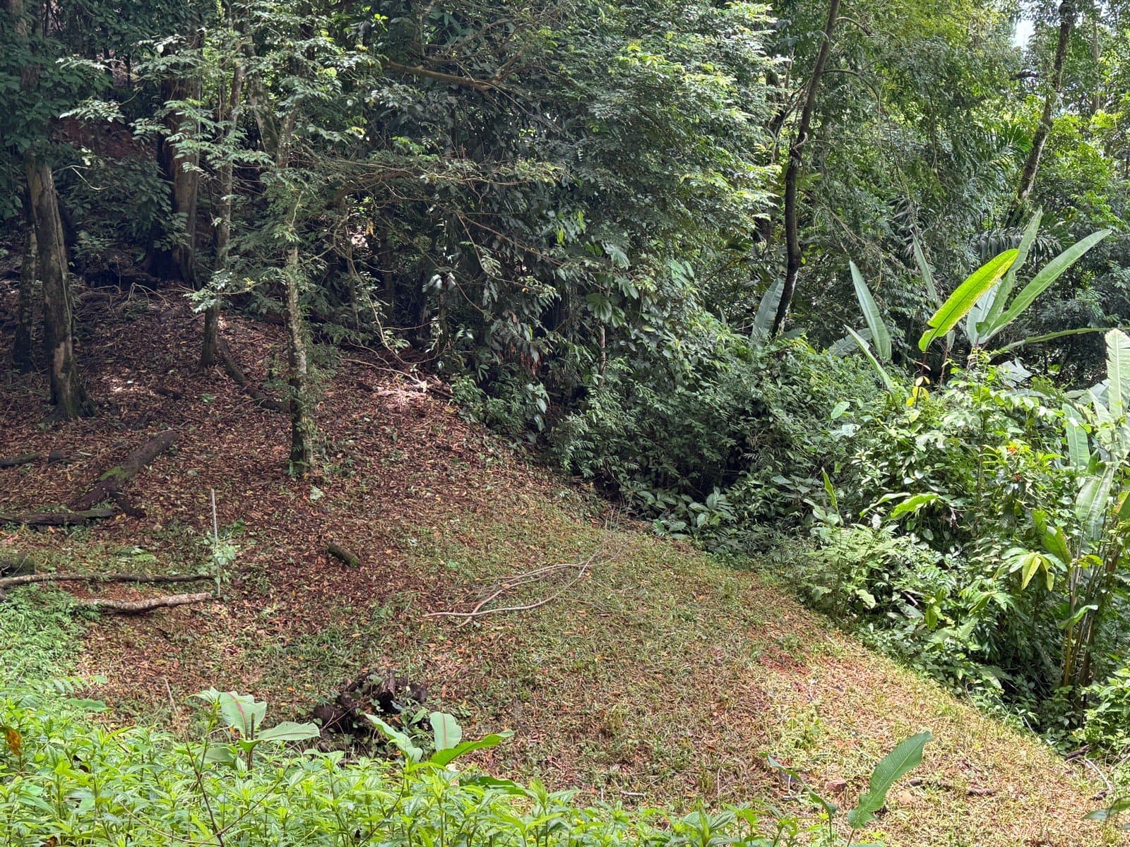 0.25 ACRES Affordable Ocean View Property With Easy Access And Legal ASADA Water! photo 5