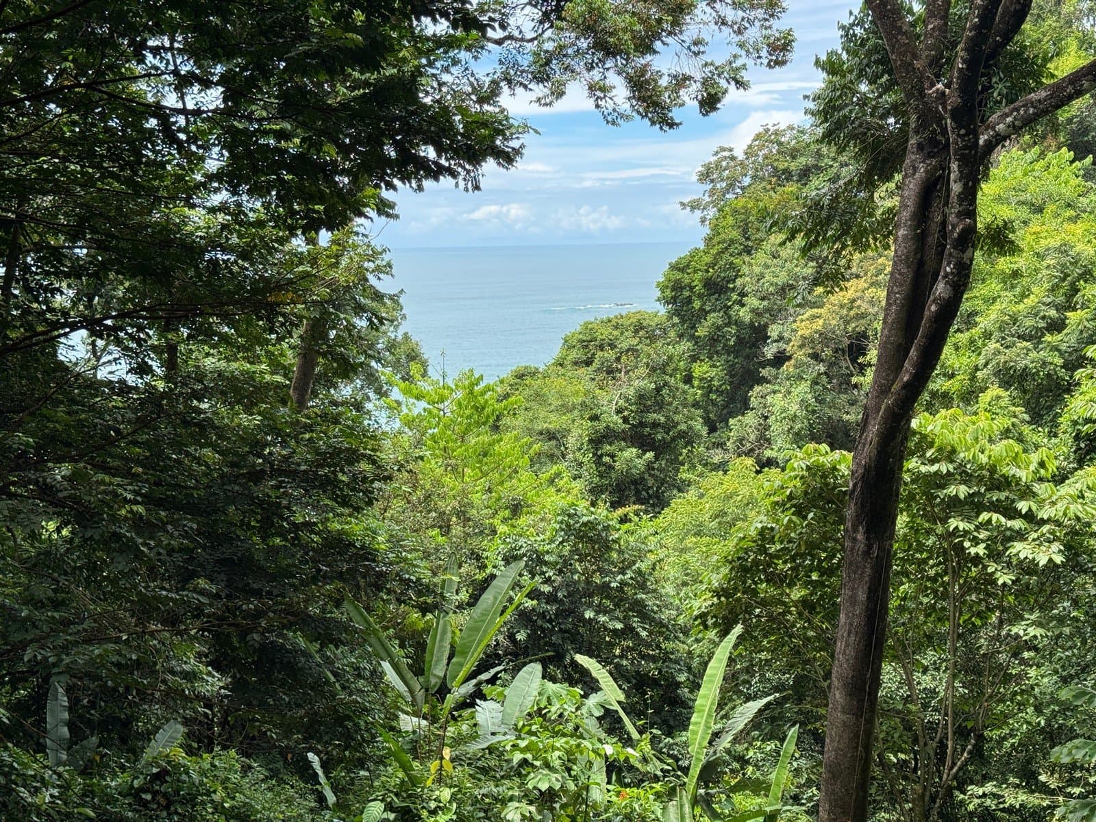 0.25 ACRES Affordable Ocean View Property With Easy Access And Legal ASADA Water! photo 2