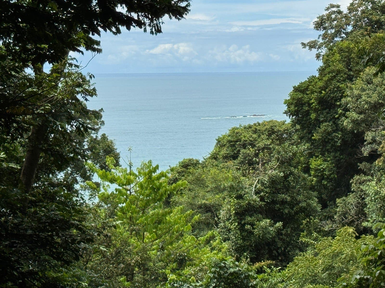 0.25 ACRES Affordable Ocean View Property With Easy Access And Legal ASADA Water! photo 1