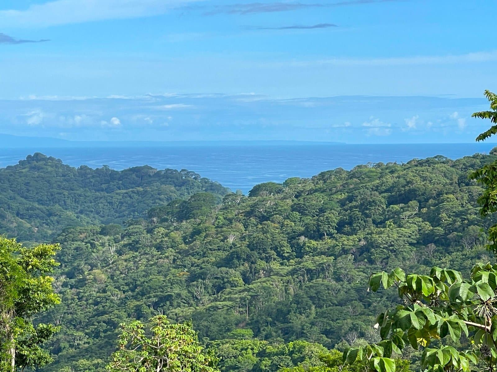 4.76 ACRES Ocean View Property in Lagunas, Completely Flat And Usable, Commercial Or Residential, Ready To Build! photo 1