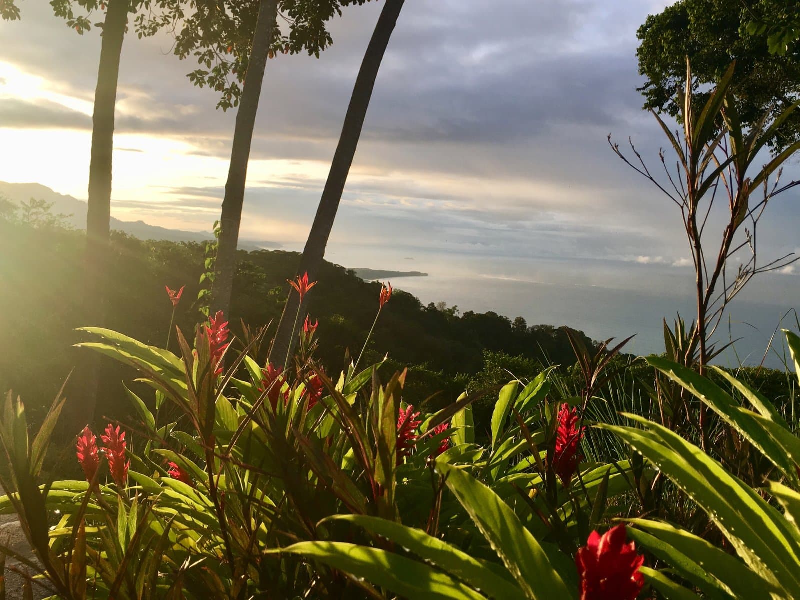 2 ACRES 2 Bedroom Whales Tale Ocean View Home In Costa Verde Estates Gated Community! photo 4