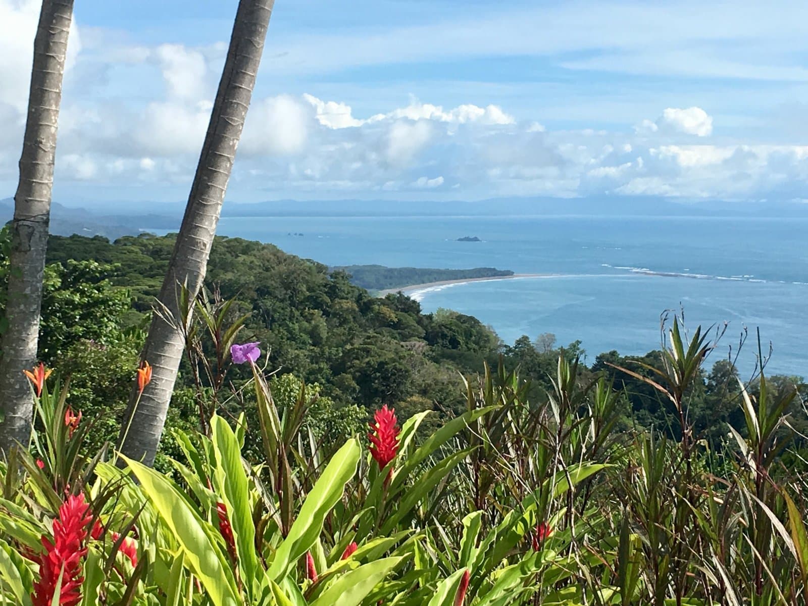 2 ACRES 2 Bedroom Whales Tale Ocean View Home In Costa Verde Estates Gated Community! photo 5