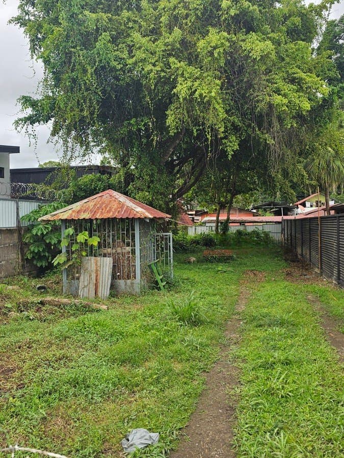0.08 ACRES – Land In The Heart Of UVITA, Commercial Opportunity Right Next To Cabins For Sale! photo 3