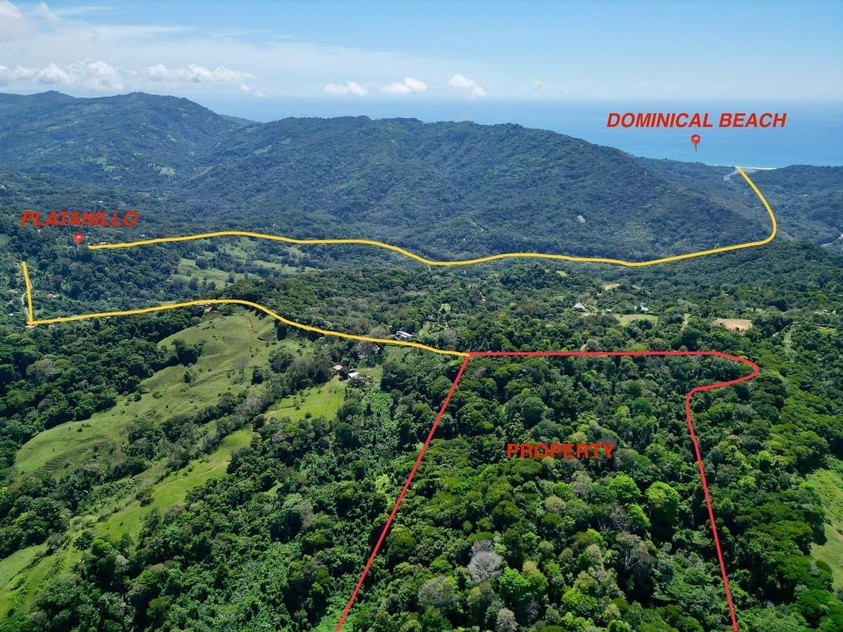 40.7 ACRES Private Forest with Trails & Multiple Building Sites, 20 Minutes from the Beach! photo 1
