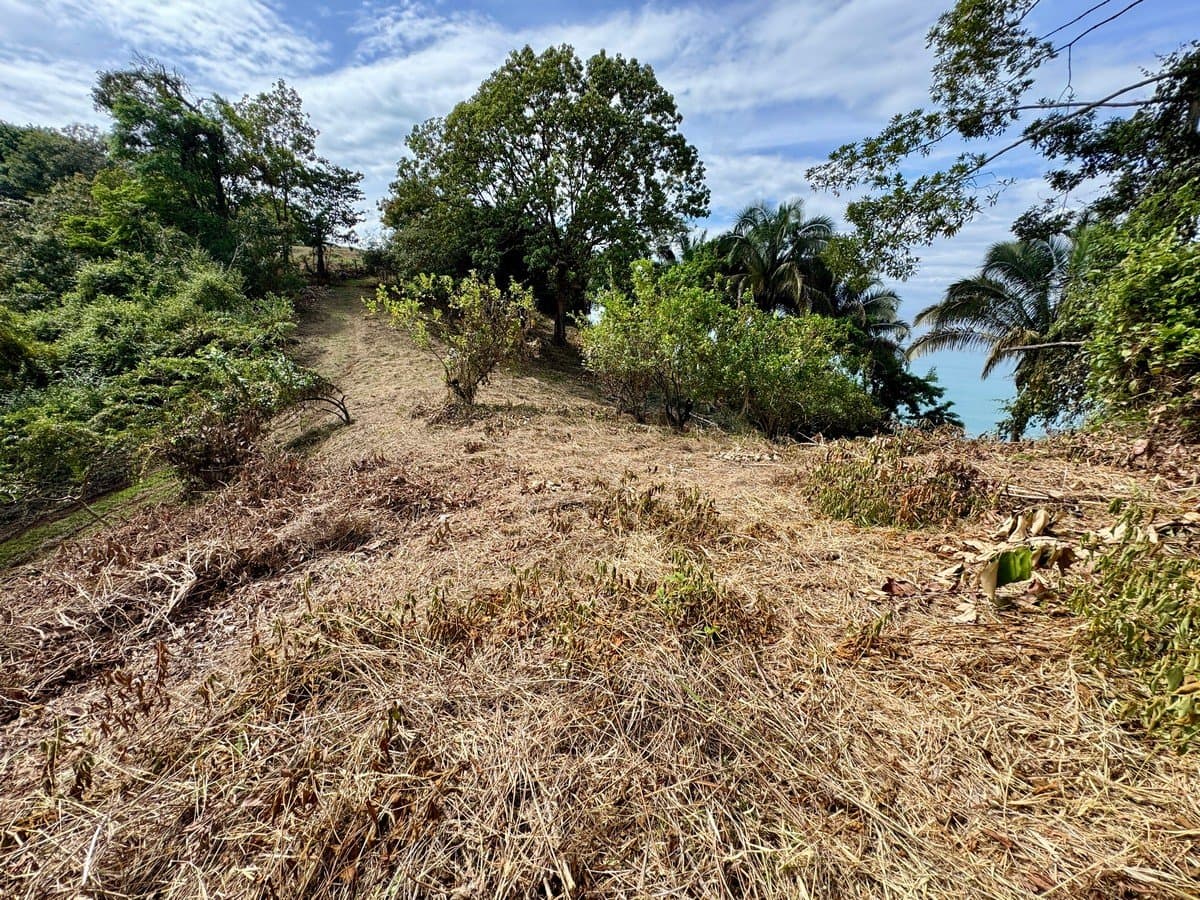 1.3 ACRES Unbelievable Ocean View Property 5 Min From The Beach! property photo 3 in Costa Rica