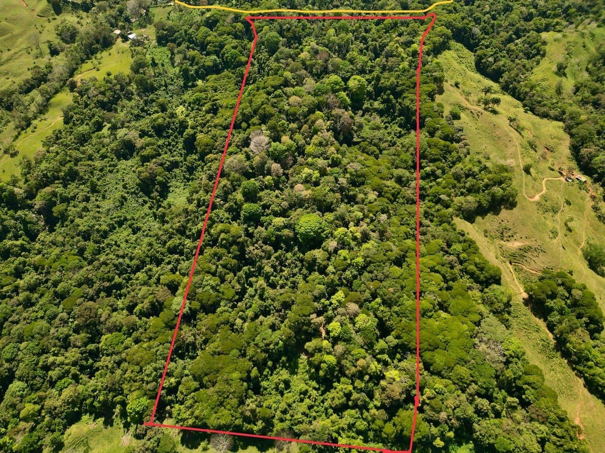 40.7 ACRES Private Forest with Trails & Multiple Building Sites, 20 Minutes from the Beach! property photo 2 in Costa Rica