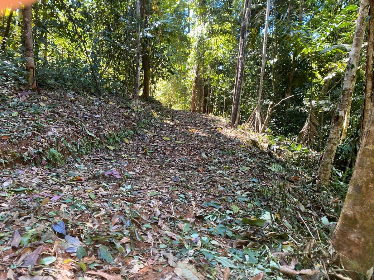 40.7 ACRES Private Forest with Trails & Multiple Building Sites, 20 Minutes from the Beach! property photo 3 in Costa Rica
