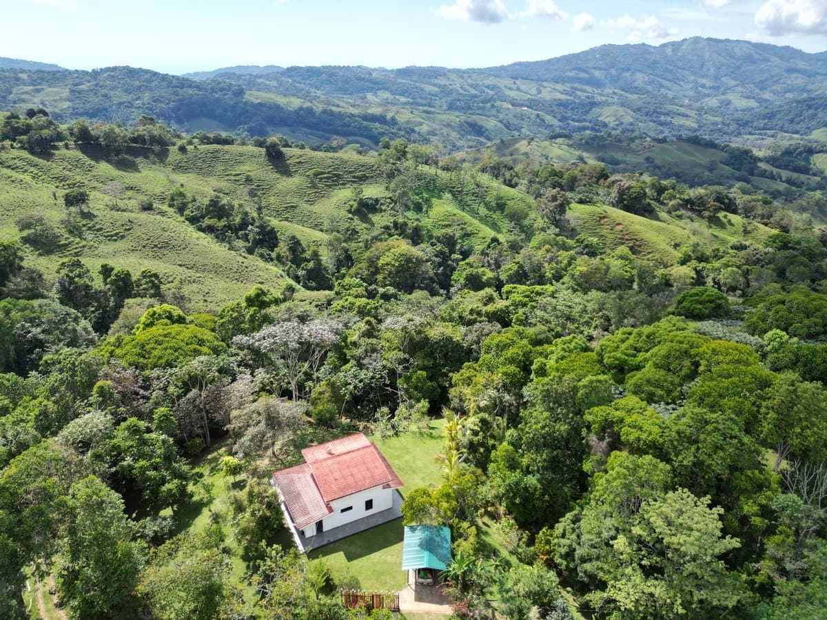 3.13 ACRES – 2 Bedroom Riverfront Home, Fruit Tress, Mountain Views & Partial Ocean View photo 4