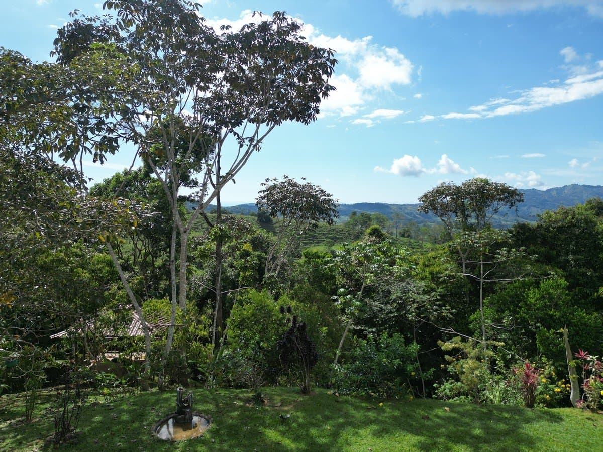 3.13 ACRES – 2 Bedroom Riverfront Home, Fruit Tress, Mountain Views & Partial Ocean View photo 5