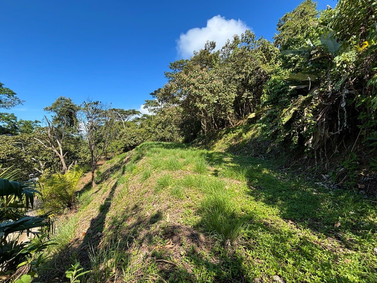 1.18 ACRES Ocean View Prime Land, Ready To Build, 10 Minutes To The Beach! photo 5