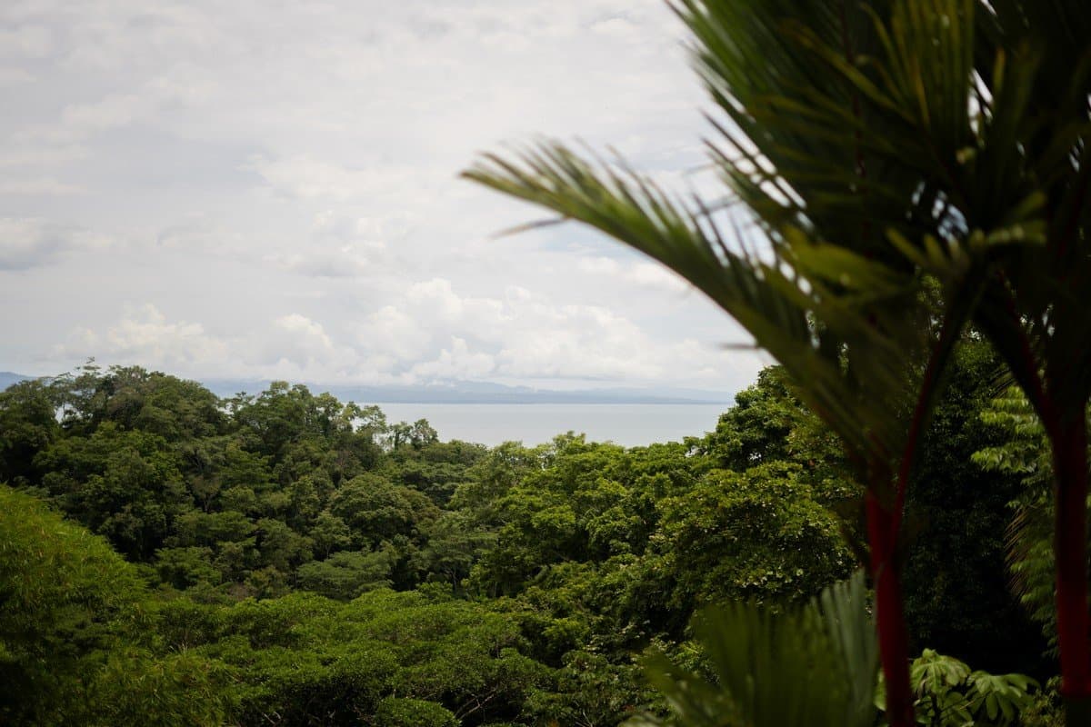 2.15 ACRES – 2 Bedroom Ocean View Home With Pool Just 8 Minutes To World Class Surf Beaches property photo 5 in Costa Rica