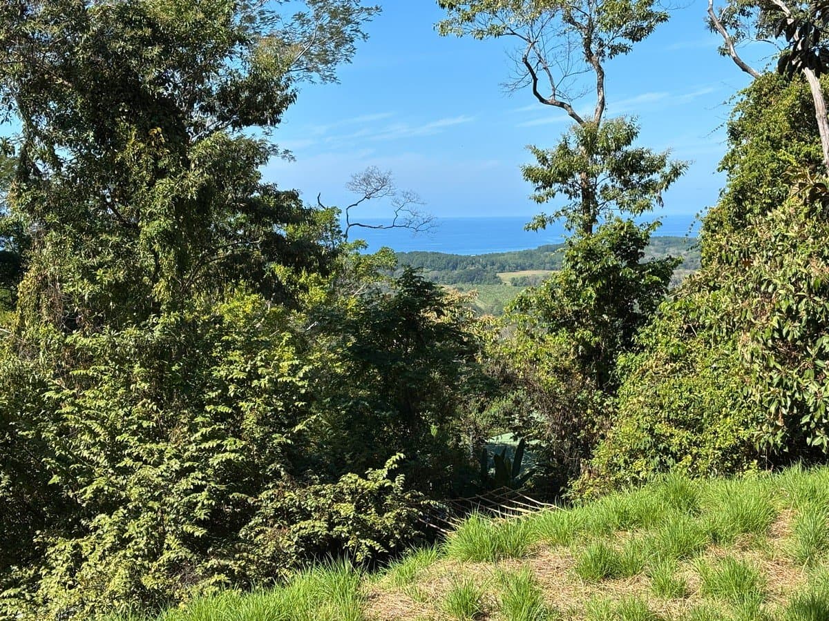 1.18 ACRES Ocean View Prime Land, Ready To Build, 10 Minutes To The Beach!