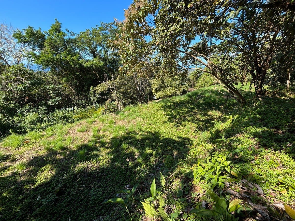 1.18 ACRES Ocean View Prime Land, Ready To Build, 10 Minutes To The Beach! photo 2