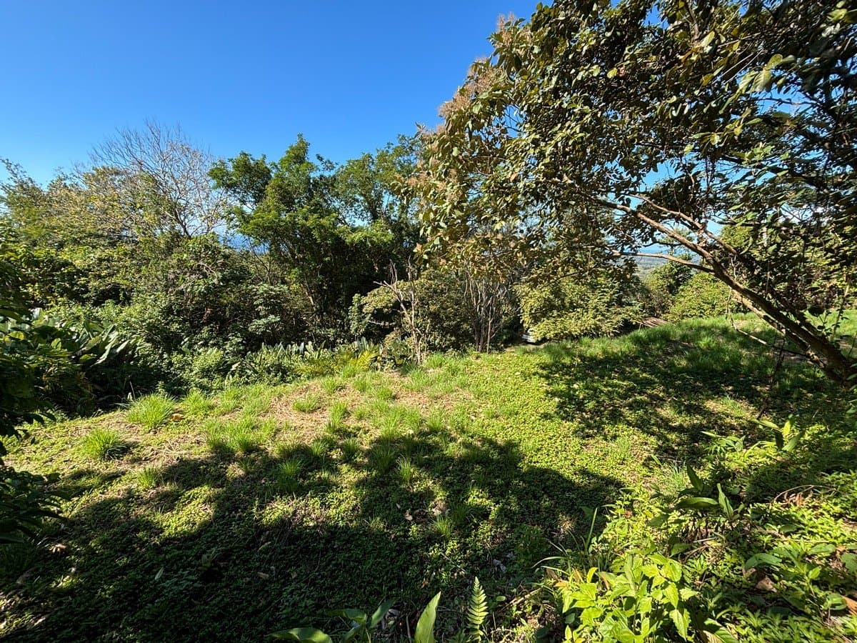 1.18 ACRES Ocean View Prime Land, Ready To Build, 10 Minutes To The Beach! photo 3