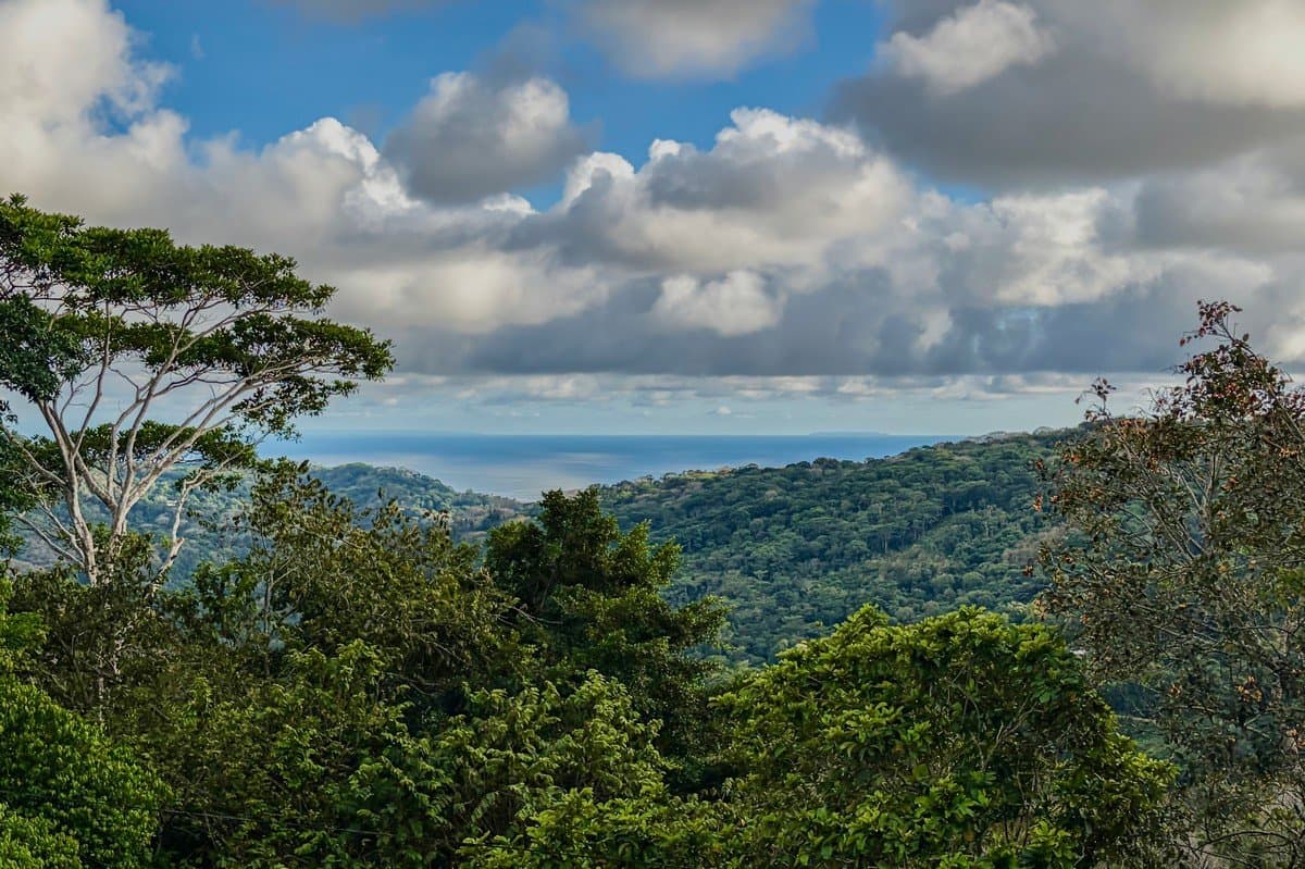 3.64 ACRES 3 Bedroom Home With Expansive Ocean and Mountain Views, 10min to the Beach! photo 4