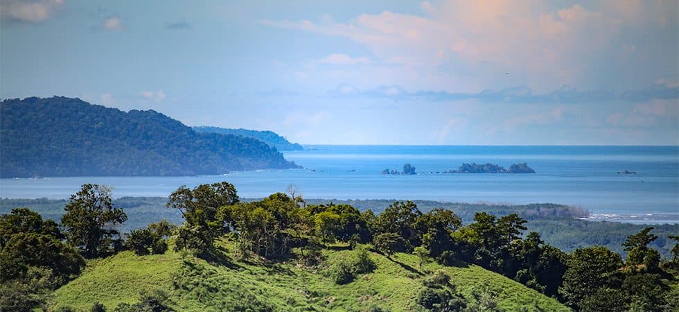 Ocean View Property Perfectly Set Up For A Self-Sustainable Lifestyle