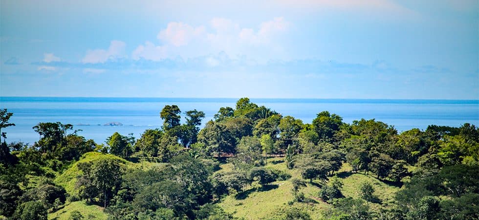 Ocean View Property Perfectly Set Up For A Self-Sustainable Lifestyle photo 4