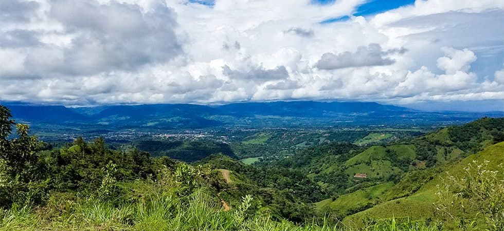 100 Acre Property with Established Home Sites Near the City of San Isidro photo 5