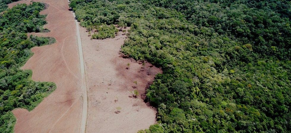 Large Farm with Easy Access to Main Highway Outside San Isidro photo 2