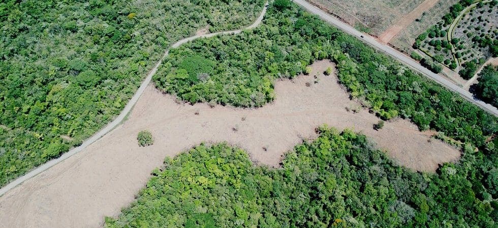 Large Farm with Easy Access to Main Highway Outside San Isidro photo 5