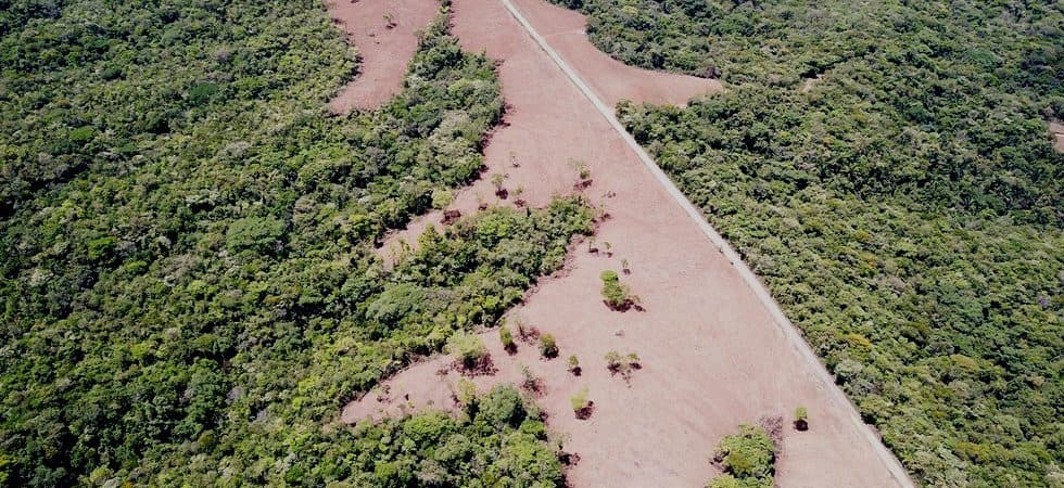 Large Farm with Easy Access to Main Highway Outside San Isidro photo 4