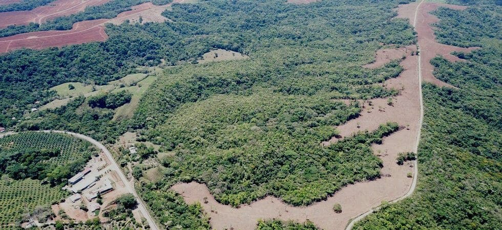 Large Farm with Easy Access to Main Highway Outside San Isidro photo 1