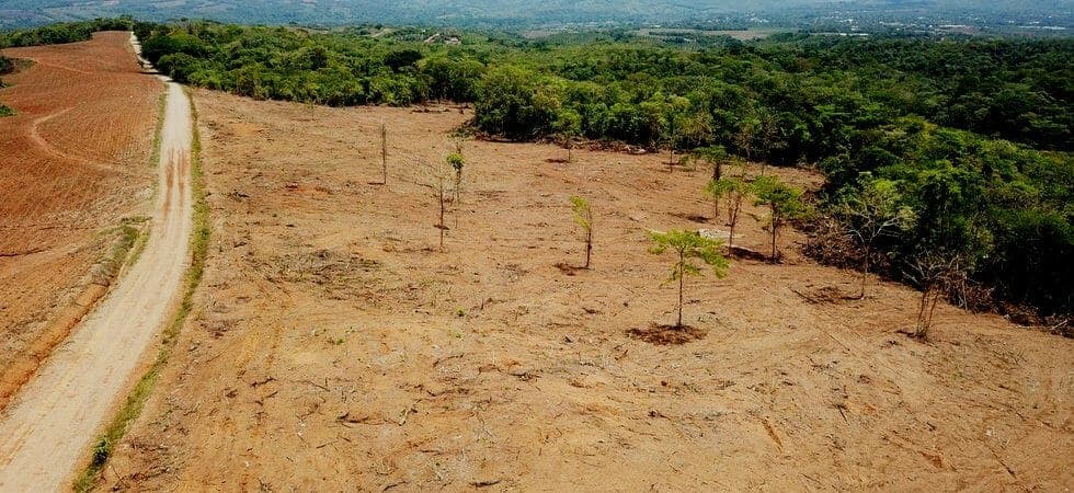 Large Farm with Easy Access to Main Highway Outside San Isidro photo 3