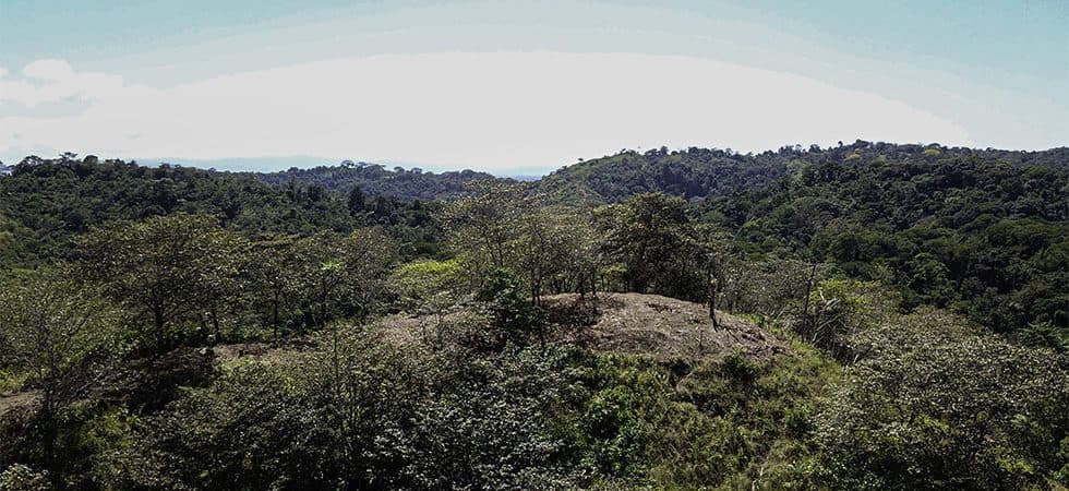 32 Acre property in Osa South of Ojochal photo 1