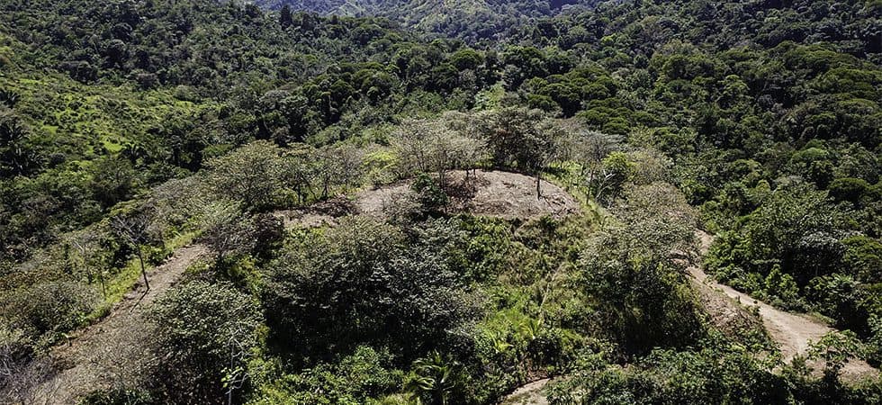 32 Acre property in Osa South of Ojochal photo 5